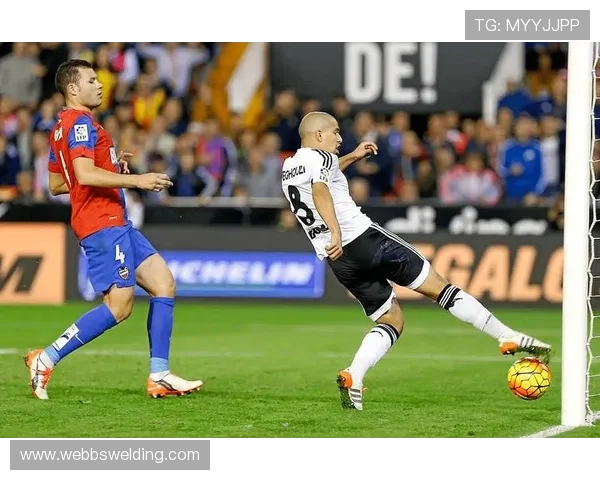 沙勒罗瓦阵容深度提升，球队新赛季备战状态逐步回暖